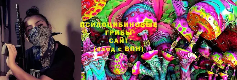 Псилоцибиновые грибы MAGIC MUSHROOMS  мориарти формула  Нелидово 